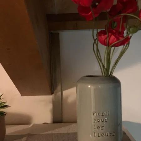 Benvenuti In Casa Peluca! Lägenhet Mestre