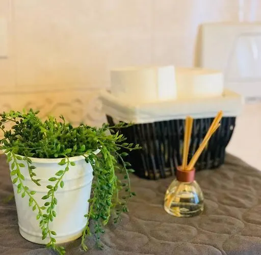 Lägenhet Benvenuti In Casa Peluca! *