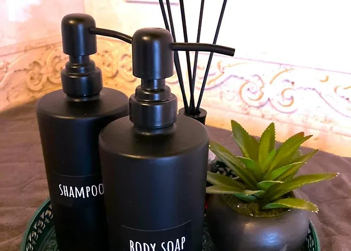 Benvenuti In Casa Peluca! * Mestre