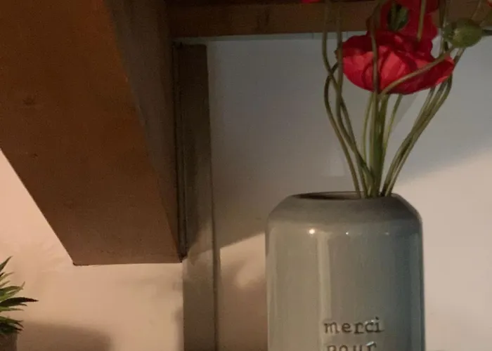 Benvenuti In Casa Peluca! Lägenhet Mestre