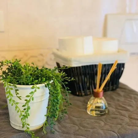 Apartamento Benvenuti In Casa Peluca! *